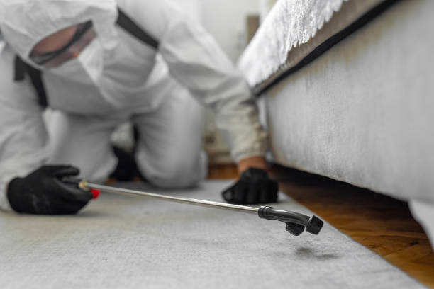 Professional Pest Control technician working in Denton, MD