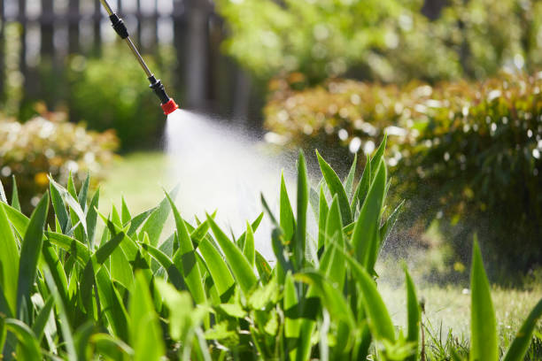 24/7 Emergency Pest Control experts in Denton, MD